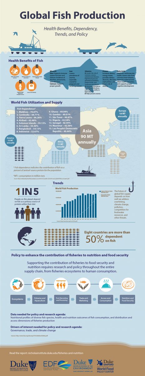 Global Fish Production Infographic