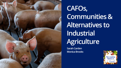 Podcast - impact of CAFOS