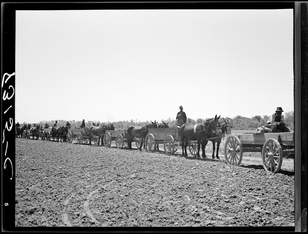 Row of Black farmers in Eastern NC waiting in line for cooperatively bought seeds and farms supplies, 1938. Courtesy Library of Congress, Prints & Photographs Division, FSA/OWI Collection, LC- USF34-008315
