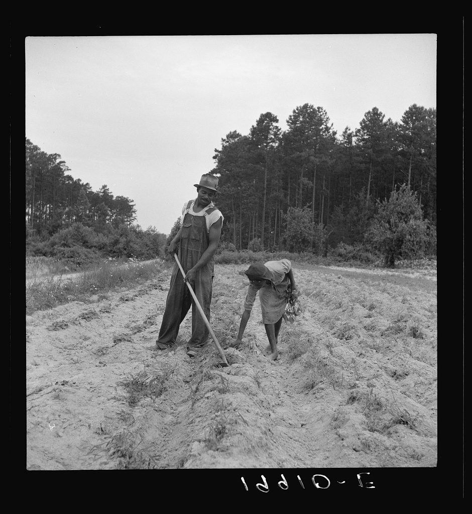 Sharecroppers in North Carolina