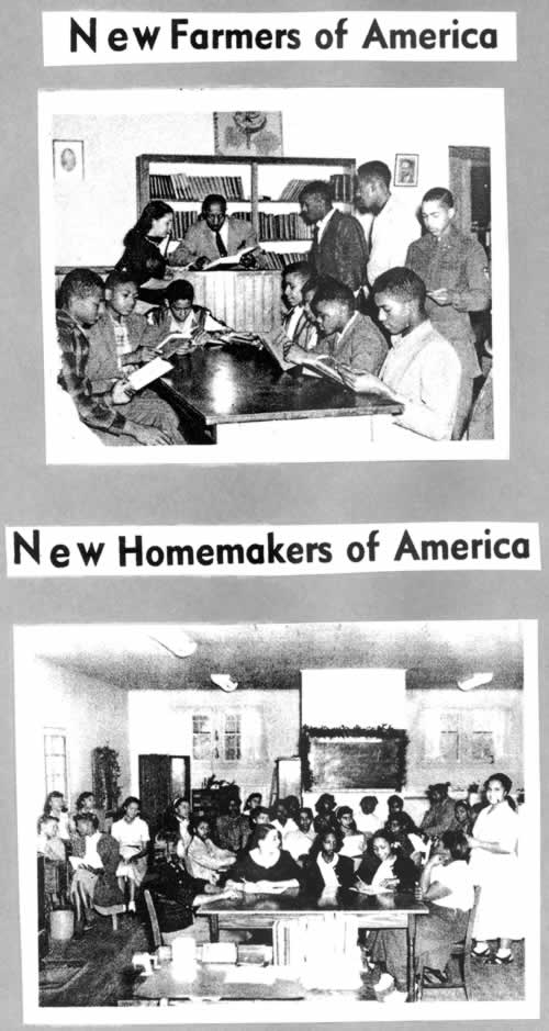 New Farmers and New Homemakers of America clubs at the Little River School, a Black Durham County school, in the early 1950s. Courtesy North Carolina Collection, Durham County Libraries
