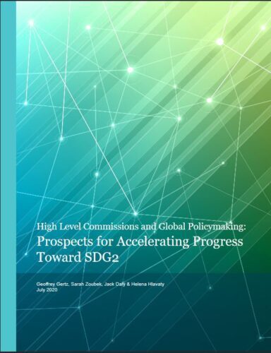 cover - Prospects of high level commission to accelerate SDG2