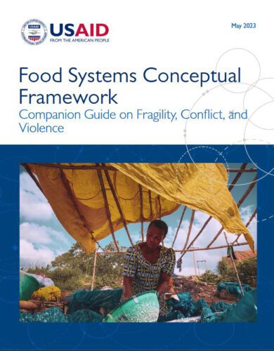 Food Systems Conceptual Framework: Companion Guide