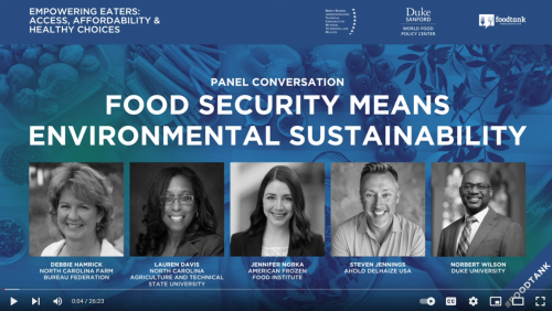 Panel discussion Food security means environmental security